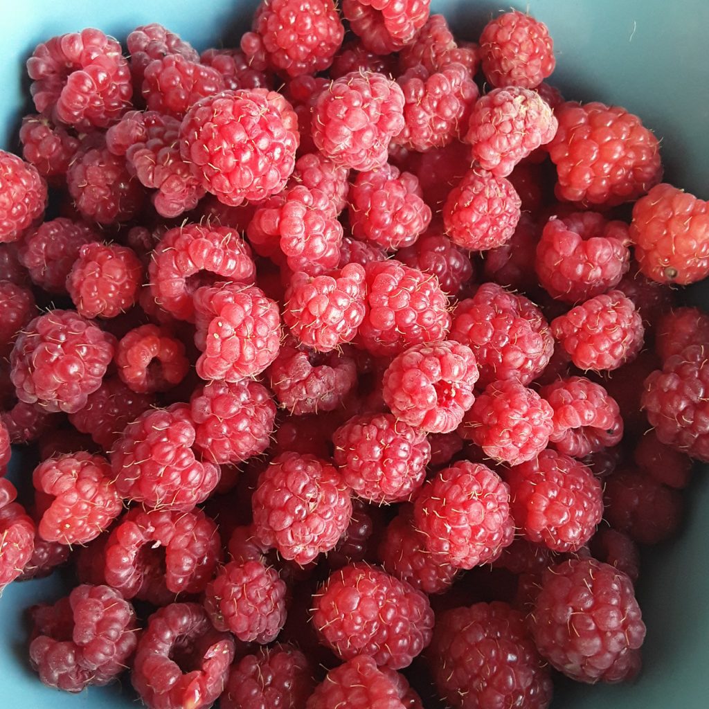 Raspberries